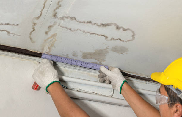 Reliable Structural Drying contractor in Walkerville, MI by Water Damage Irwin
